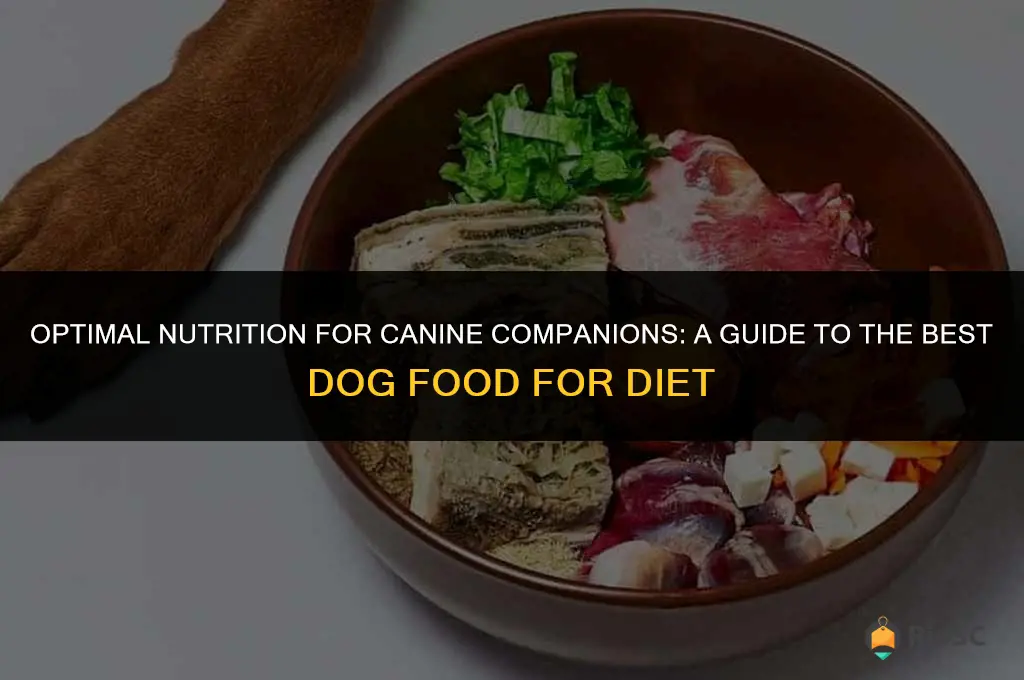 best dog food for diet