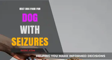 Nutrition for Canine Epilepsy: Top Dog Food Choices to Support Dogs with Seizures