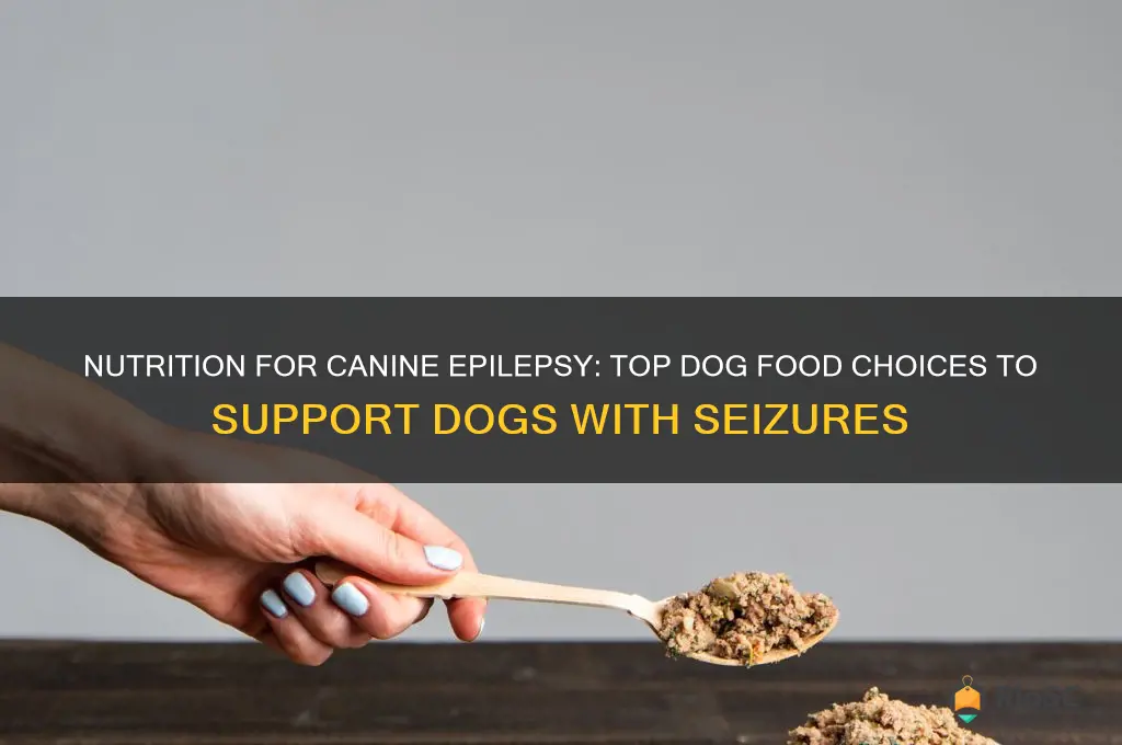 best dog food for dog with seizures