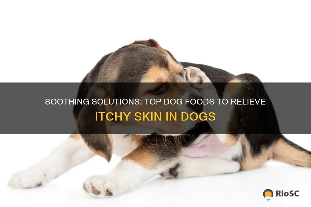 best dog food for dogs that itch