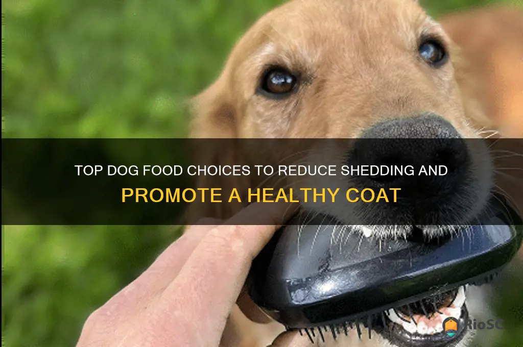 best dog food for dogs that shed