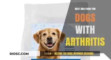 Nutritious Relief: Top Dog Food Choices to Ease Arthritis Symptoms in Dogs