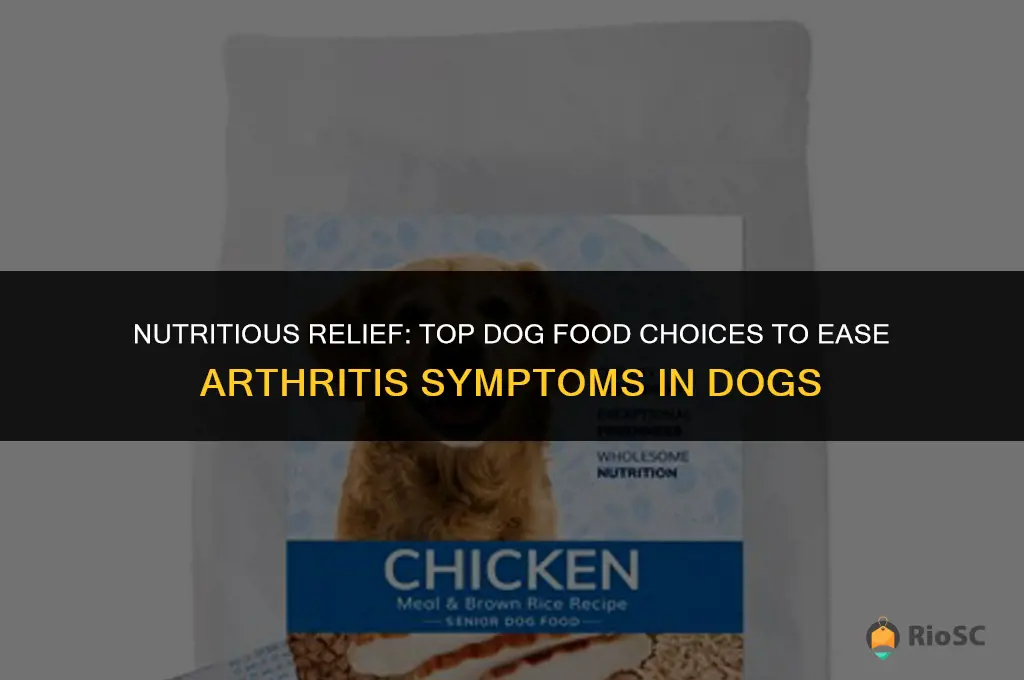 best dog food for dogs with arthritis