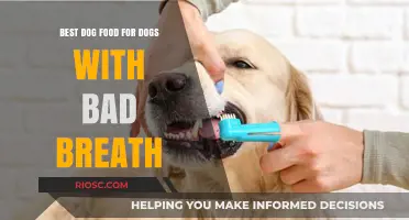 Freshen Up: Top Dog Food Picks to Combat Bad Breath in Dogs
