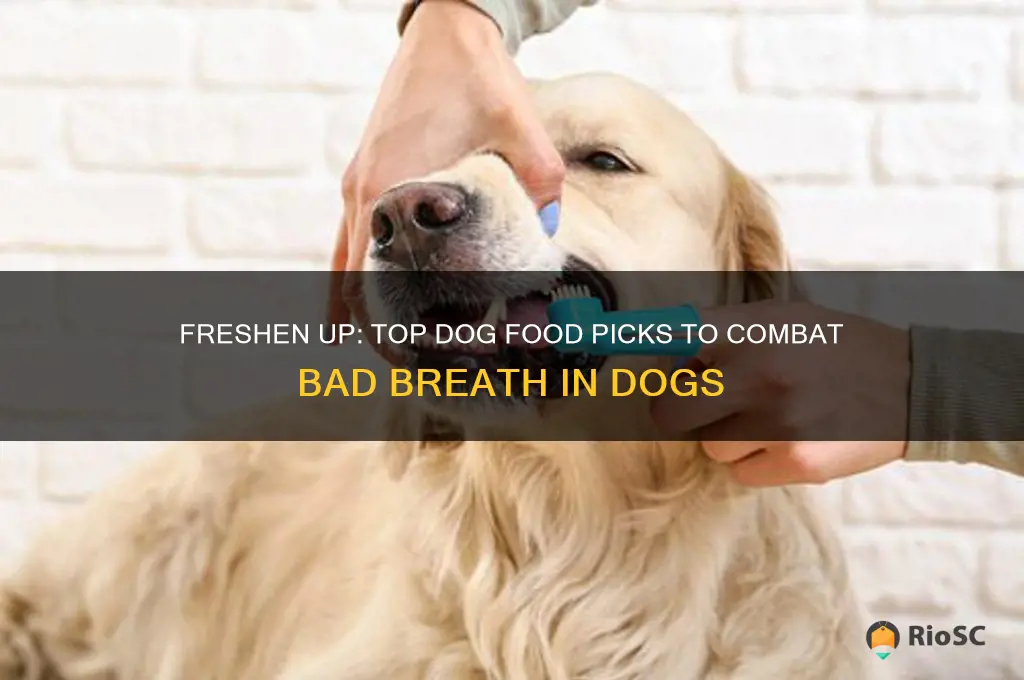 best dog food for dogs with bad breath