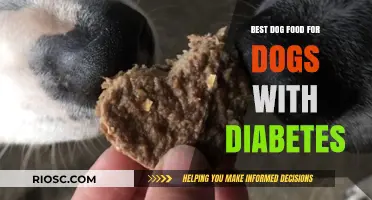Nutritious Choices: Top Dog Food Options for Managing Canine Diabetes