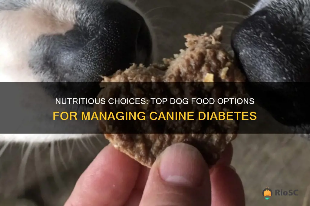 best dog food for dogs with diabetes