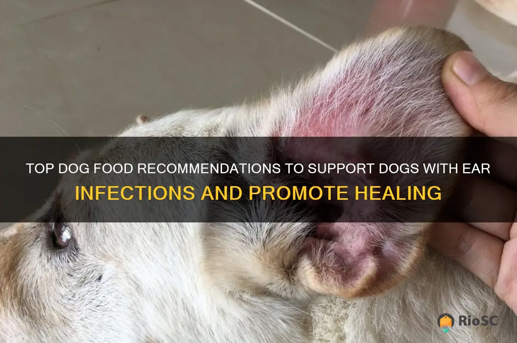 best dog food for dogs with ear infections