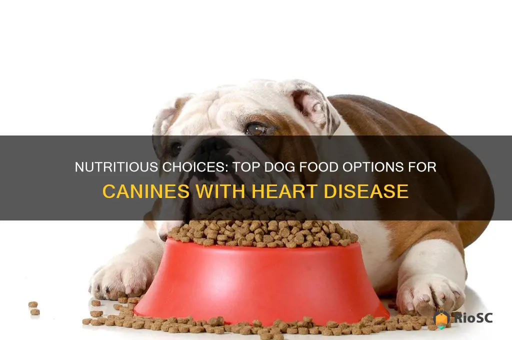 best dog food for dogs with heart disease