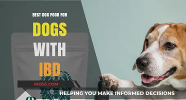 Top Nutritional Choices: Best Dog Food for Dogs with IBD to Support Digestive Health