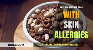 Soothing Solutions: Top Dog Food Picks for Dogs with Skin Allergies