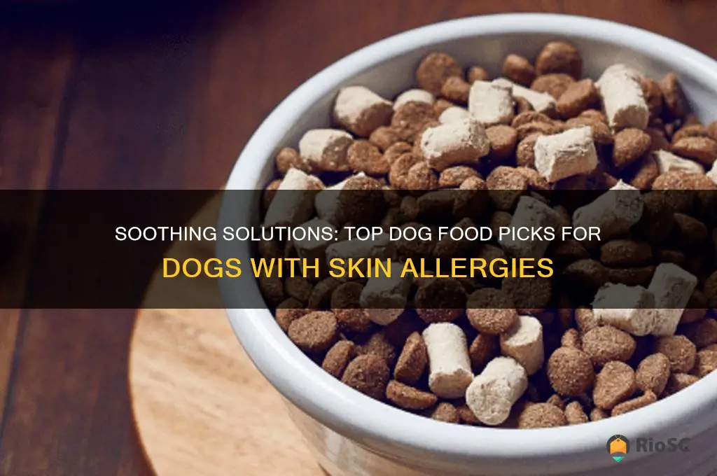 best dog food for dogs with skin allergies