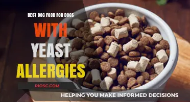 Hypoallergenic Dog Food Options: Top Picks for Dogs with Yeast Allergies