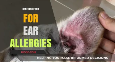 Top Dog Food Options to Alleviate Ear Allergies and Promote Canine Health