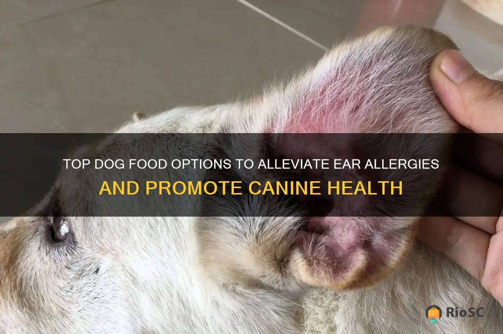 best dog food for ear allergies