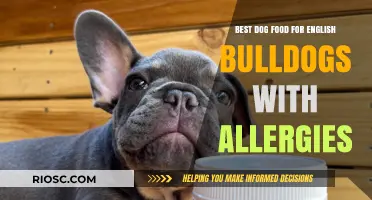 Hypoallergenic Dog Food Guide: Top Picks for English Bulldogs with Allergies