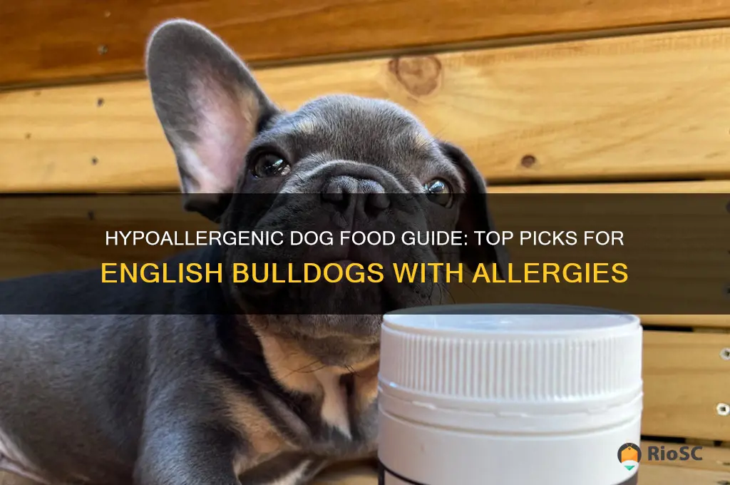 best dog food for english bulldogs with allergies