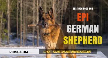 Top Nutritional Choices for EPI German Shepherds: Best Dog Food Options to Support Digestive Health