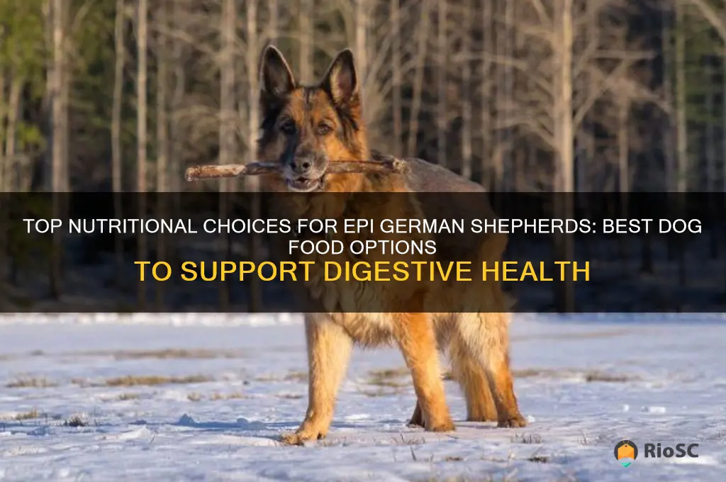 best dog food for epi german shepherd