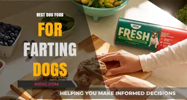 Tame the Tummy Troubles: Top Dog Foods to Reduce Excessive Farting in Dogs