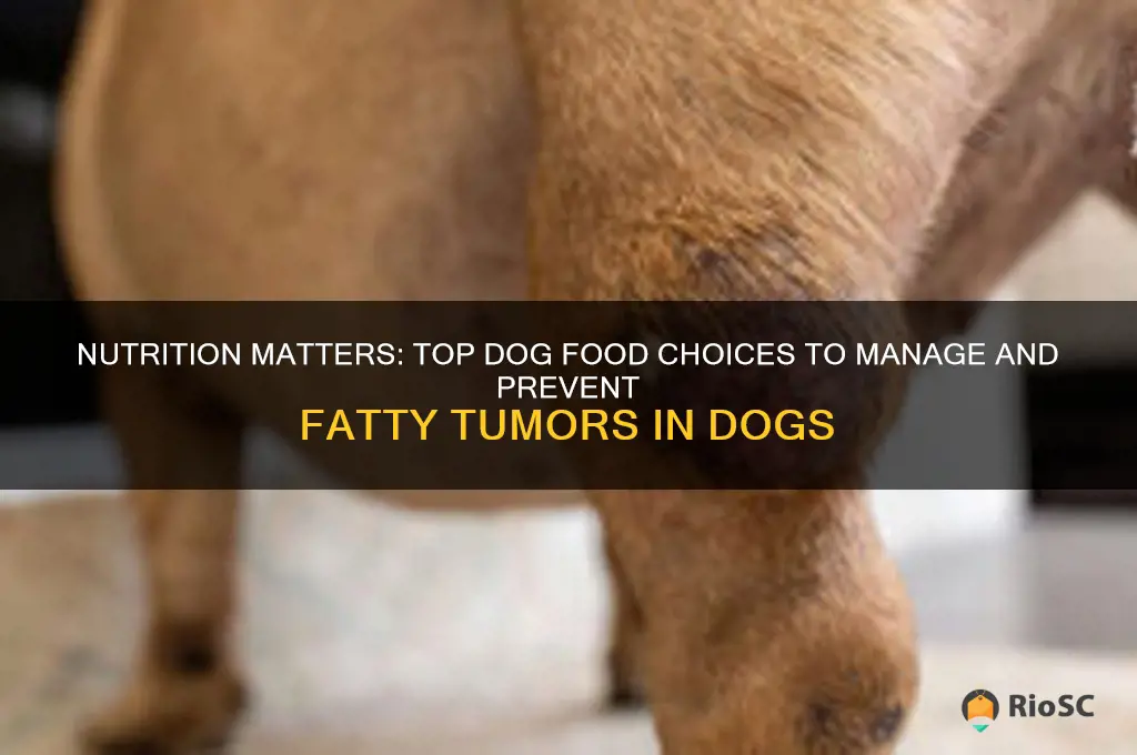 best dog food for fatty tumors