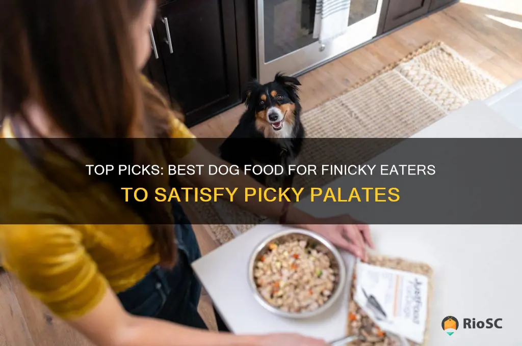 best dog food for finicky dogs