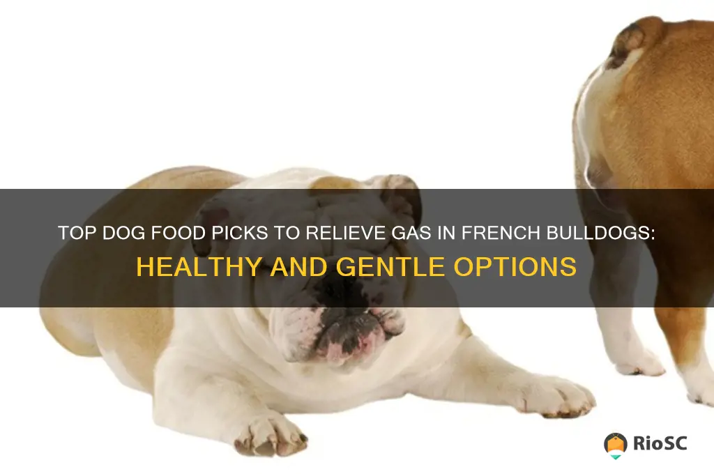 best dog food for french bulldogs with gas
