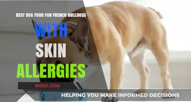 Soothing Solutions: Top Dog Food Picks for French Bulldogs with Skin Allergies