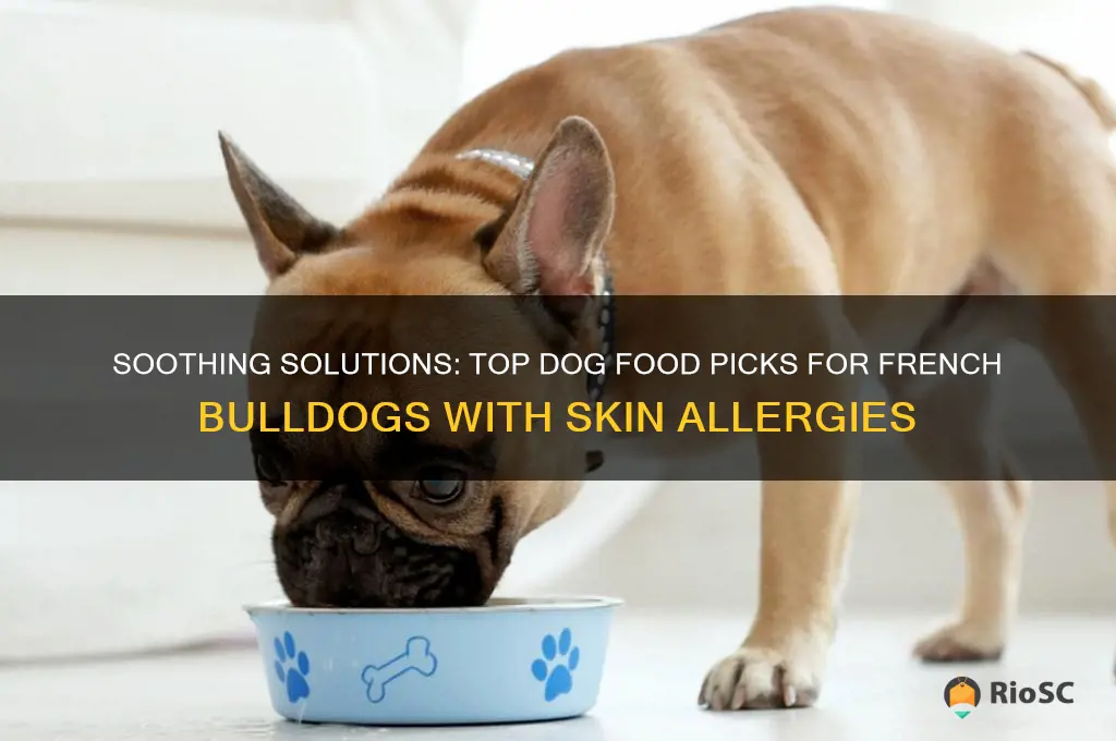 best dog food for french bulldogs with skin allergies