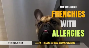 Hypoallergenic Dog Food for French Bulldogs: Top Picks to Soothe Allergies and Promote Healthy Skin