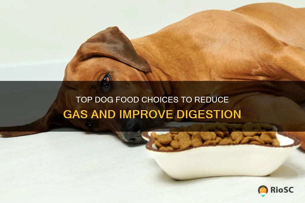 best dog food for gas