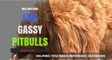 Top Dog Food Choices to Reduce Gas in Pitbulls: A Guide to Healthier Digestion