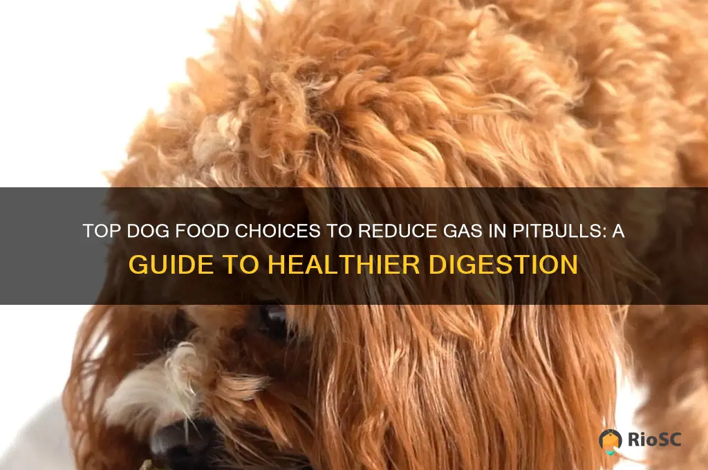 best dog food for gassy pitbulls