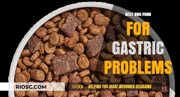 Soothing Solutions: Top Dog Foods to Ease Gastric Problems and Promote Digestive Health