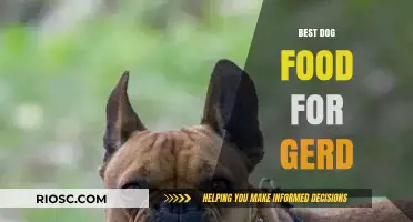 Soothing Solutions: Top Dog Food Picks for Managing GERD in Canines