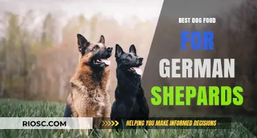 Top-Rated Dog Food Options for German Shepherds: Nutrition, Health, and Energy Boosting Choices