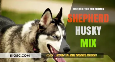Nutritious Dog Food Options for Your German Shepherd Husky Mix: Top Picks for Optimal Health