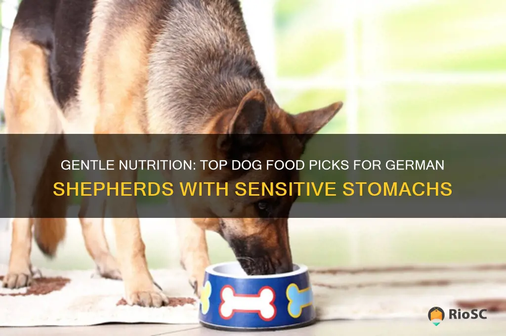 best dog food for german shepherds with sensitive stomachs