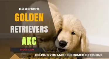 Top-Rated Dog Food Options for Golden Retrievers: AKC Recommendations