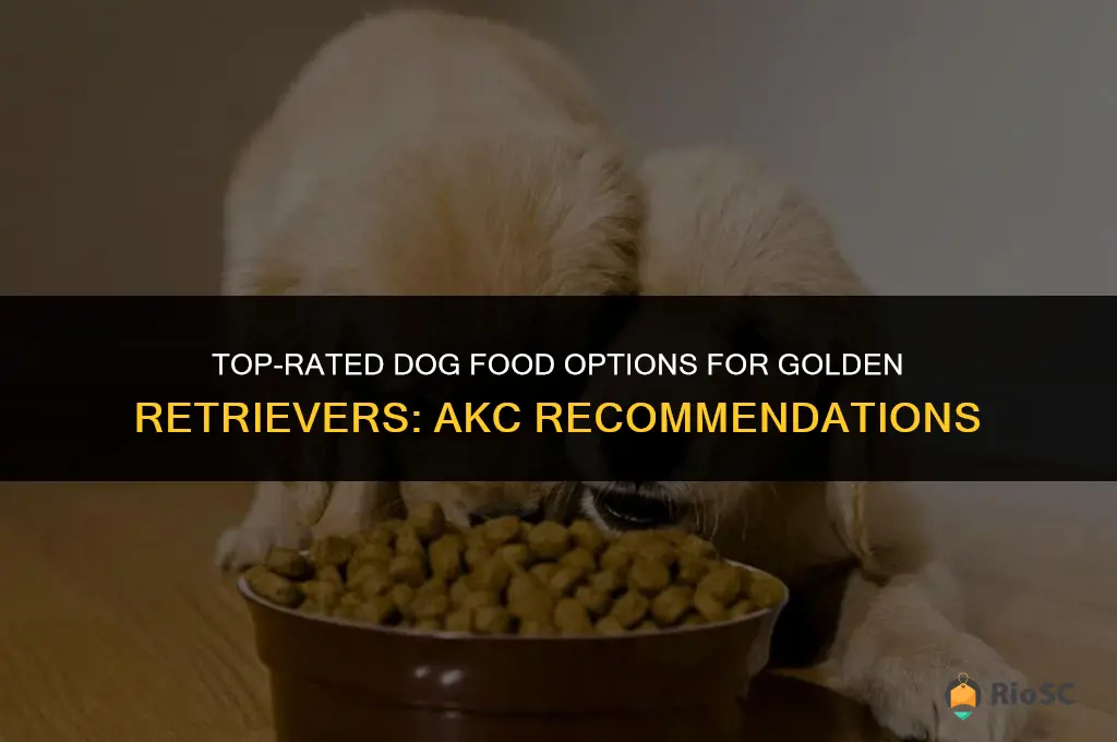 best dog food for golden retrievers akc