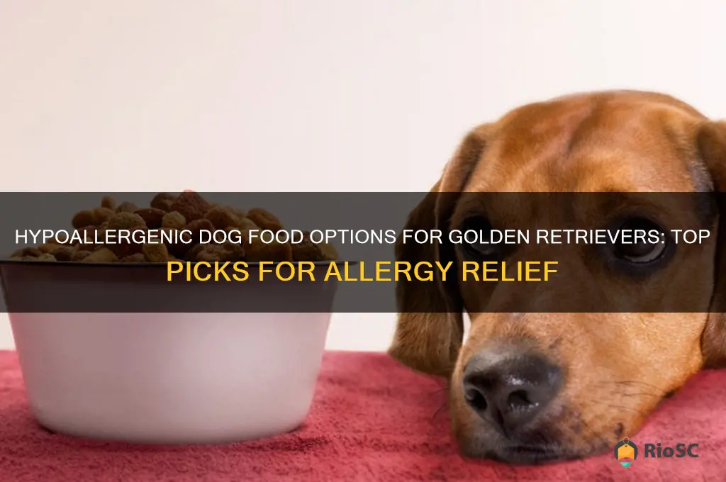 best dog food for golden retrievers with allergies