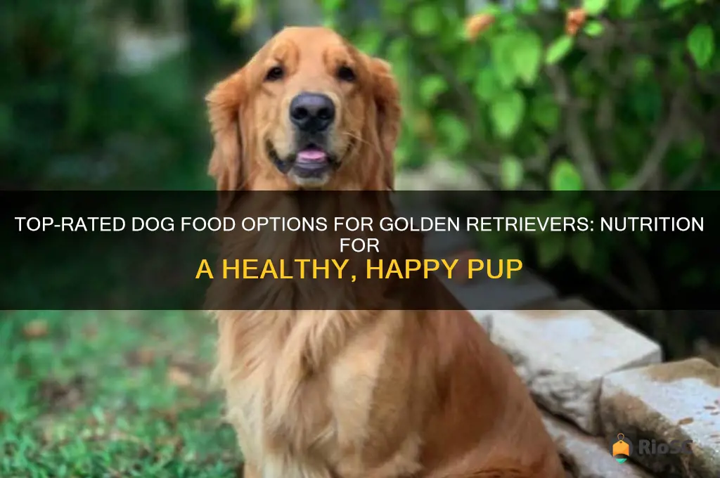 best dog food for golden