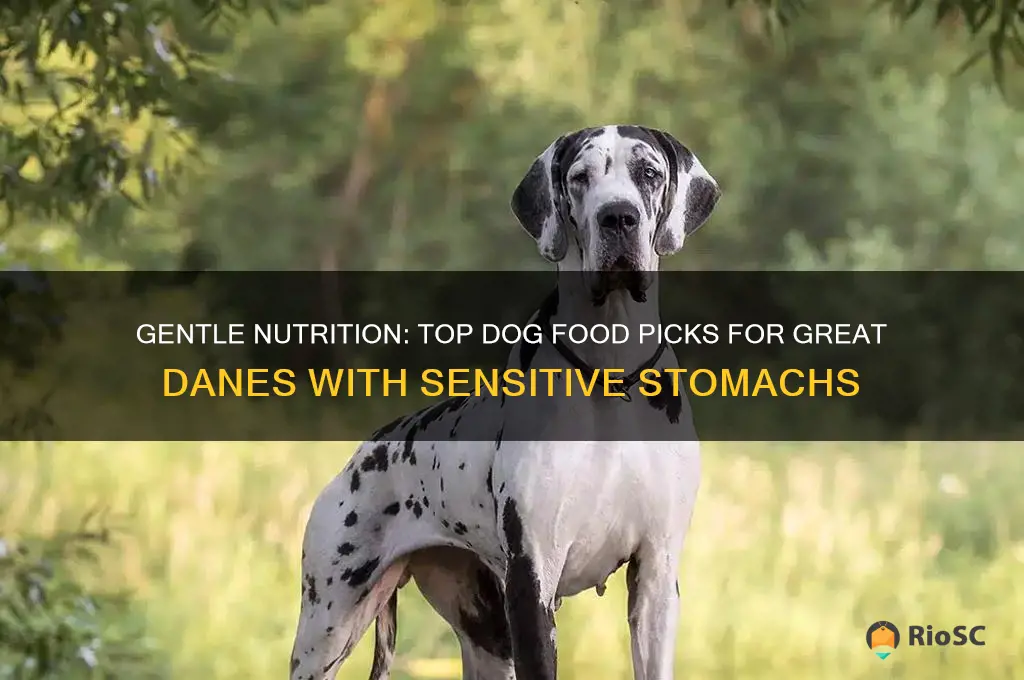 best dog food for great danes with sensitive stomachs