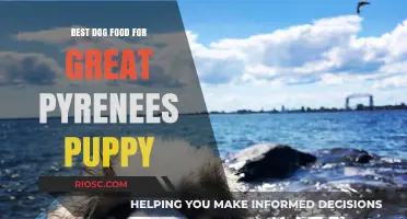 Nutritious and Delicious: Top Dog Food Recommendations for Your Great Pyrenees Puppy