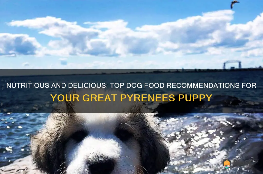best dog food for great pyrenees puppy