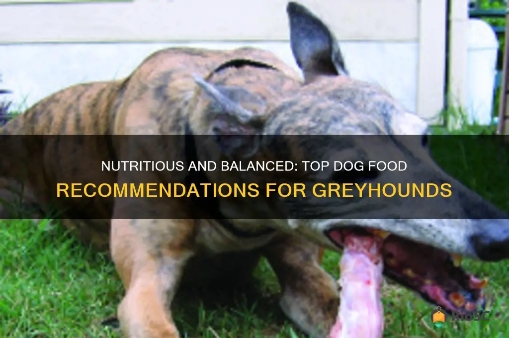 best dog food for greyhounds