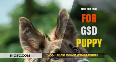 Nutritious and Delicious: Top Dog Food Picks for Your Growing German Shepherd Puppy