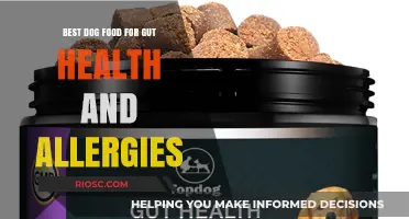 Nourish and Heal: Top Dog Foods for Gut Health and Allergy Relief