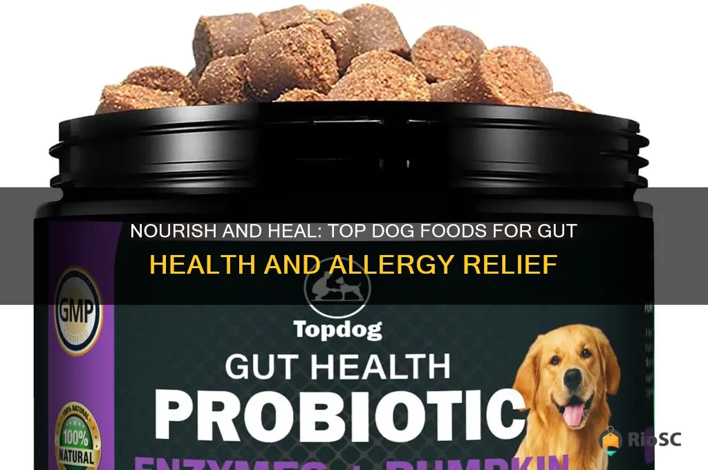 best dog food for gut health and allergies