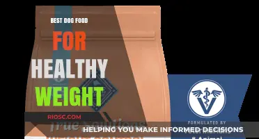 Optimal Nutrition for Canine Wellness: A Guide to Maintaining a Healthy Weight in Dogs